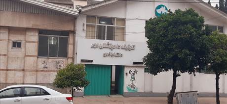 کلینیک دامپزشکی مهر